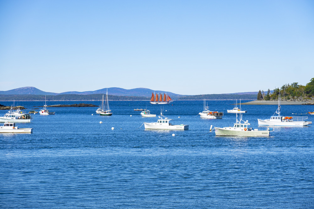 boats-in-bar-harbor