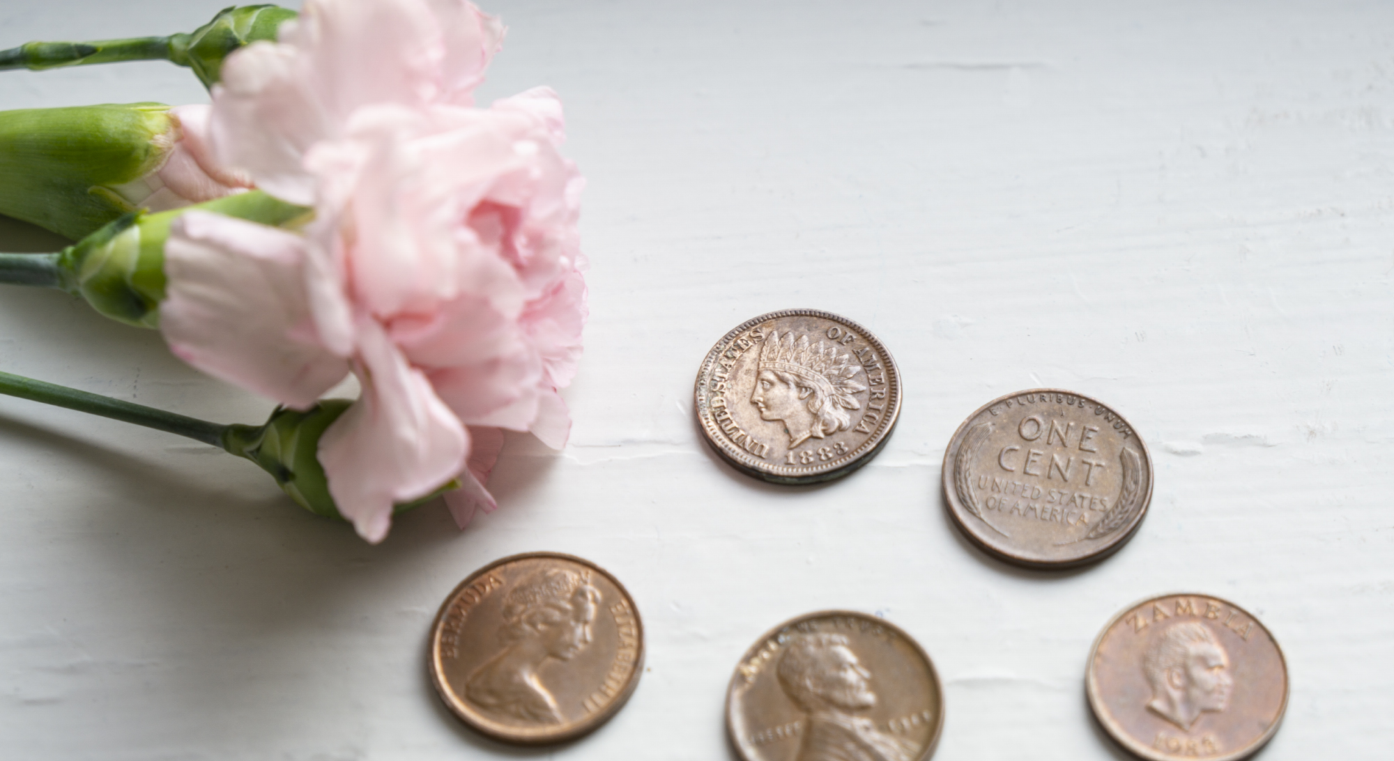 Pennies with flower