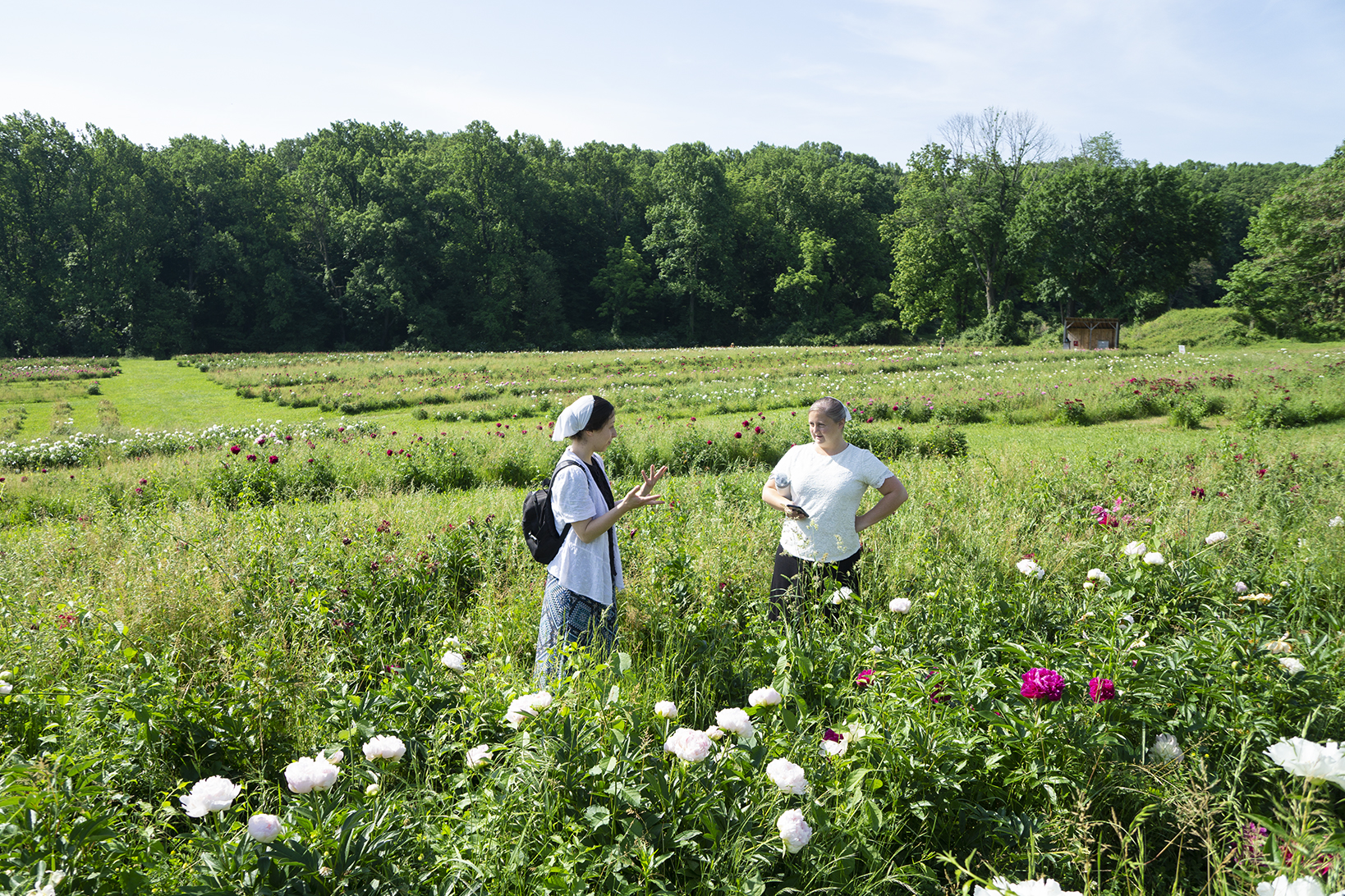 Women in flower field at Styers Peonies
