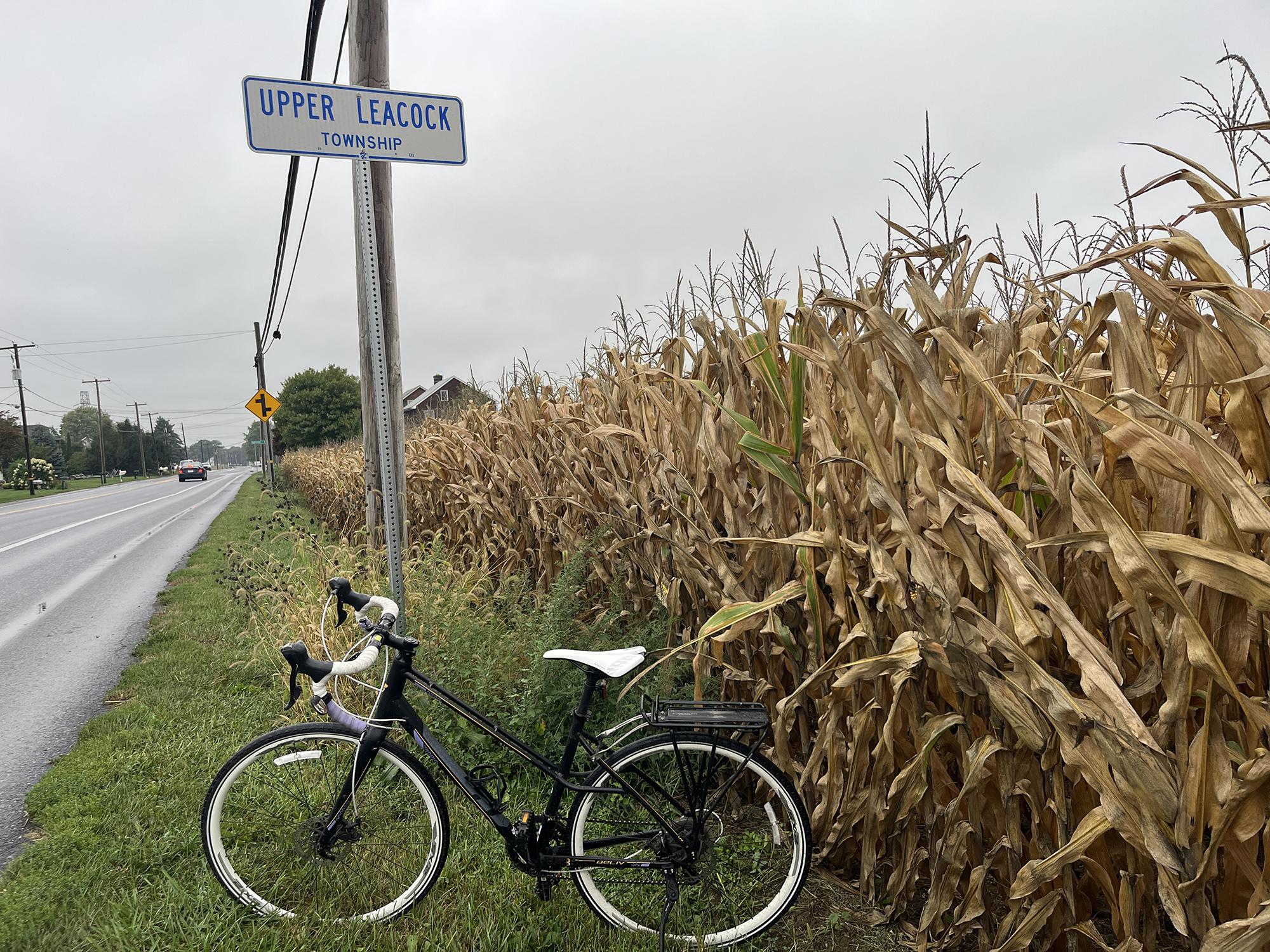 Bicycle next to a cornfield